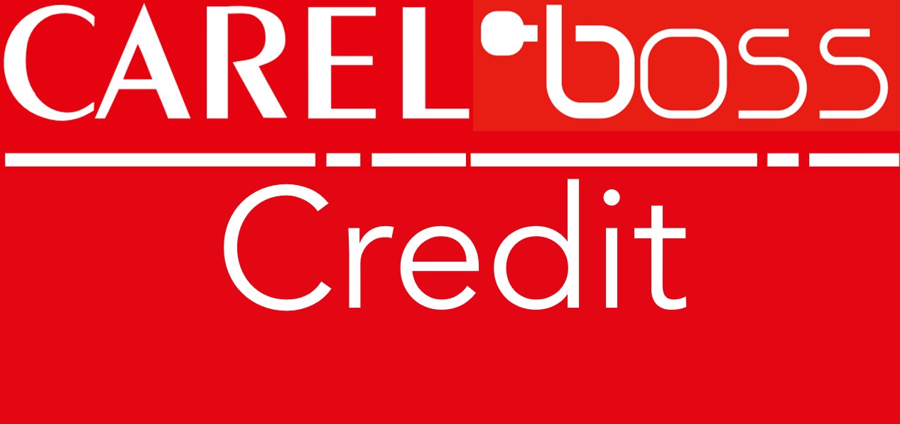 1 КРЕДИТ ДЛЯ BOSS CAREL, CREDIT FOR ACTIVATION OF 1 BOSS PLUG-IN, BMHST01P00