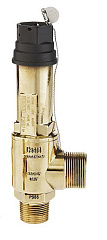 ПРЕДОХРАНИТЕЛЬНЫЙ КЛАПАН CASTEL Safety Valve вх 1" NPT / вых 1.1/4" G 35 Bar, 3030/88C350